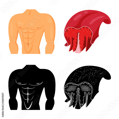 Isolated object of fiber and muscular logo. Collection of fiber and body  stock vector illustration.