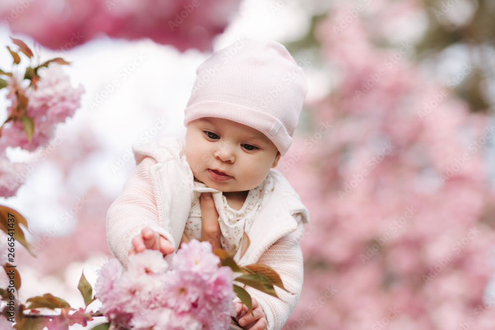Cute baby girl between pink branches play with leaflets. Happy little girl surrounded by sakura Cute baby girl between pink branches play with leaflets. Happy little girl surrounded by sakura
