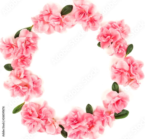 Pink flowers azalea pattern Wreath frame isolated on white background. Top view. Copy space. Holiday concept