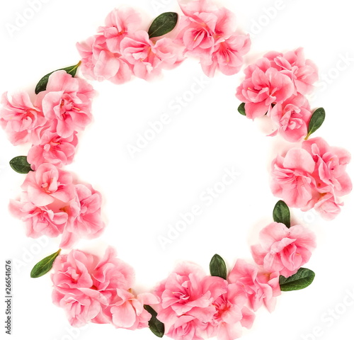 Wallpaper Mural Pink flowers azalea pattern Wreath frame isolated on white background. Top view. Copy space. Holiday concept Torontodigital.ca