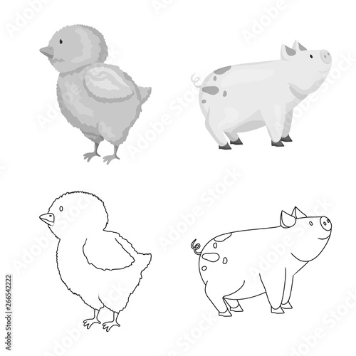 Vector illustration of breeding and kitchen symbol. Collection of breeding and organic stock symbol for web.