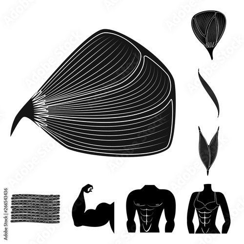 Vector design of human and body  logo. Set of human and cells stock symbol for web.