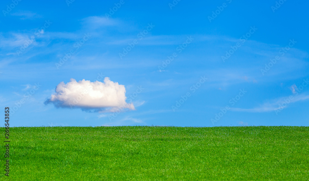 Image of green grass field and bright blue sky Image of green grass field and bright blue sky
