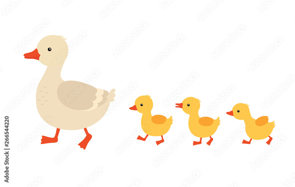 Mother duck and ducklings. Cute baby ducks walking in row. Cartoon