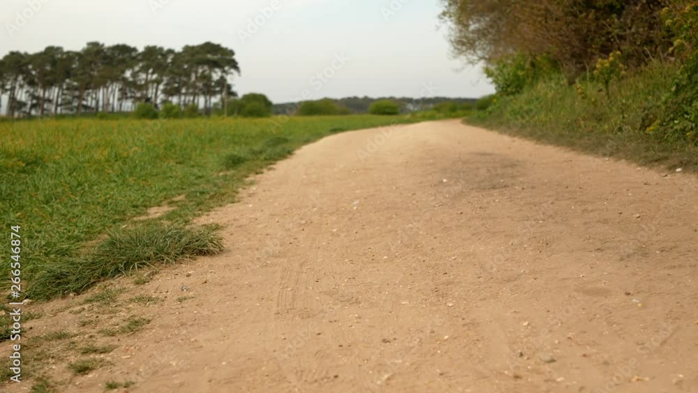 Gravel road with green field on the side Gravel road with green field on the side