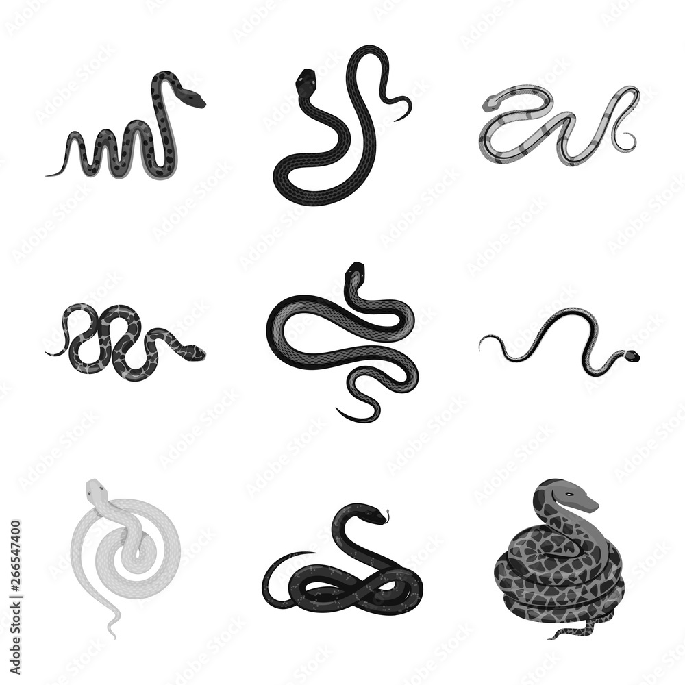 Isolated object of harm and bite icon. Collection of harm and reptile vector icon for stock. Isolated object of harm and bite icon. Collection of harm and reptile vector icon for stock.
