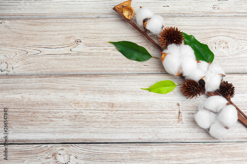 Branch with cotton flowers on wooden background