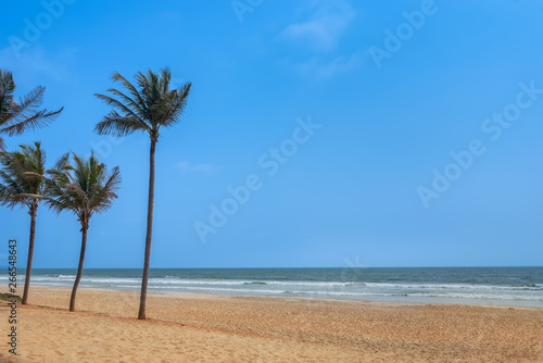 ocean water and blue sky with palm trees in Goa, India © len4foto