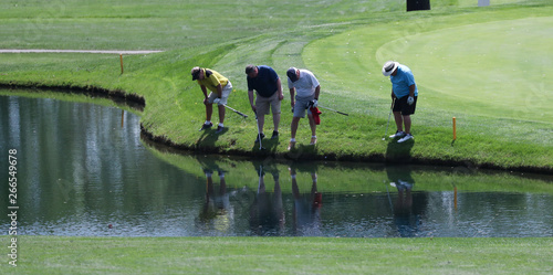 A group of golfers search for a ball that plugged into the bank of a pond