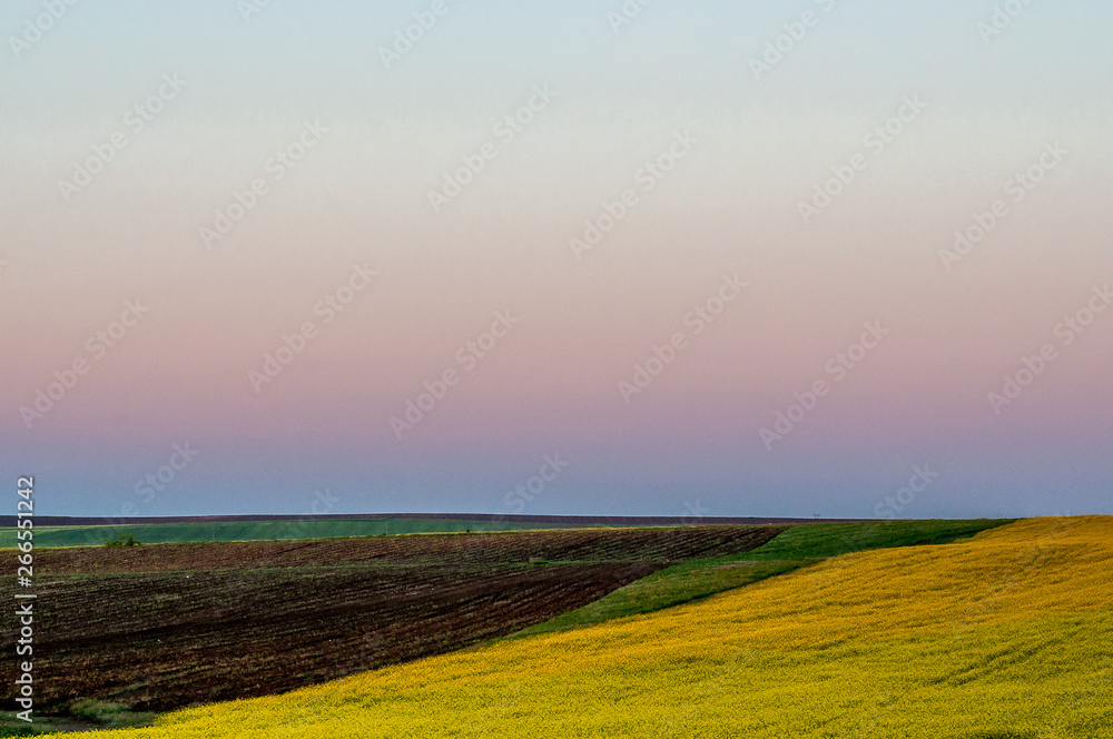 Landscape - Field and morning sun