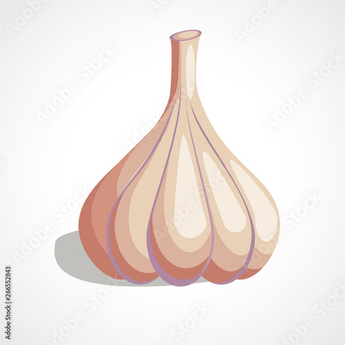 Cartoon drawing of garlic. Garlic icon. Vector illustration.