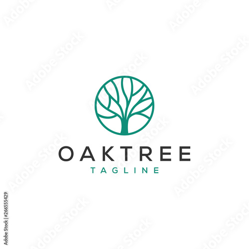 simple oak tree vector logo design