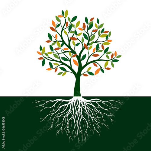 Color Tree of Life with Roots. Vector Illustration.