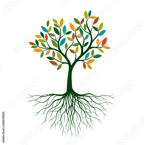 Color Tree of Life with Roots. Vector Illustration.