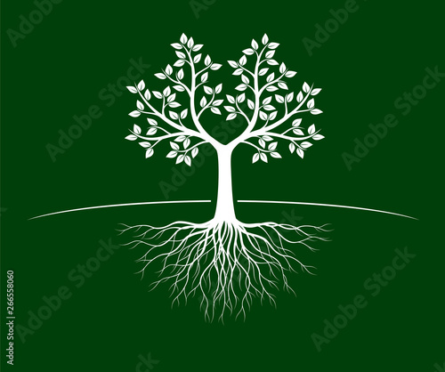 White Tree of Life with Roots on green background. Vector Illustration.