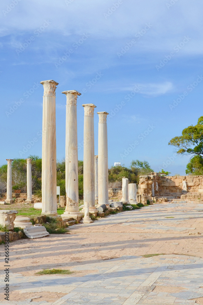 Amazing view of the Salamis ruins in Northern Cyprus taken with blue sky above. Salamis was famous Antique Greek city. The Corinthian columns were part of Salamis Gymnasium