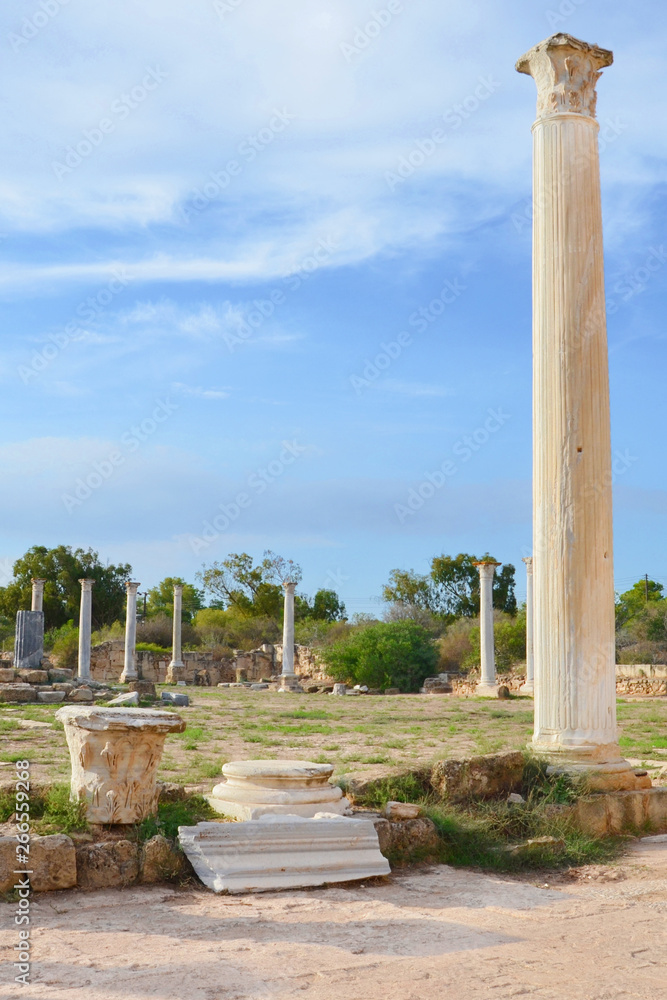 Spectacular ruins of ancient Greek city Salamis taken with blue sky above. The Antique columns were part of Salamis Gymnasium. Salamis is located in todays Turkish Northern Cyprus