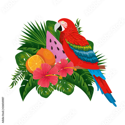 exotic parrot with tropical fruits and floral decoration
