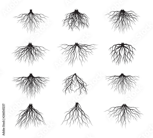 Set of Black Tree Roots. Vector Illustration.