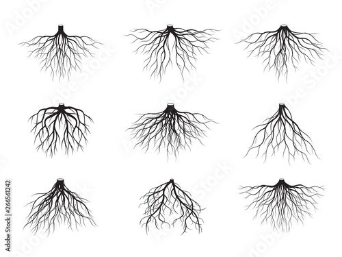 Set of Black Tree Roots. Vector Illustration.