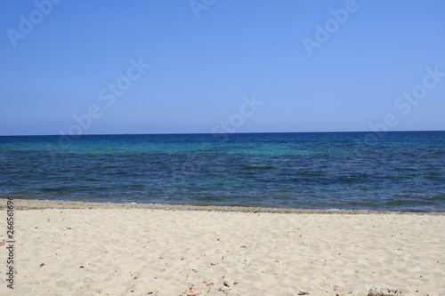sea and white sand in Tunisia