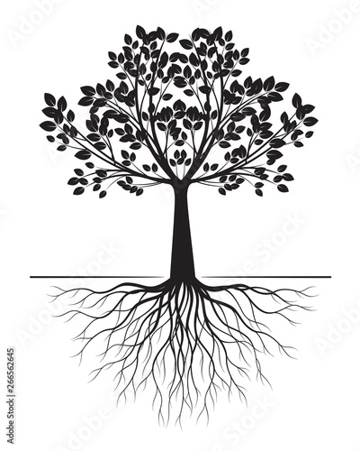 Black Tree with Roots on white background. Vector Illustration.