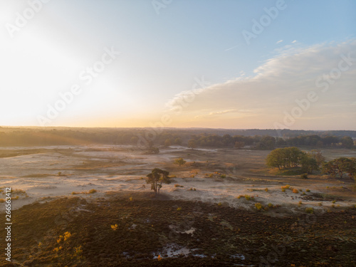 Goois National Park Netherlands photo