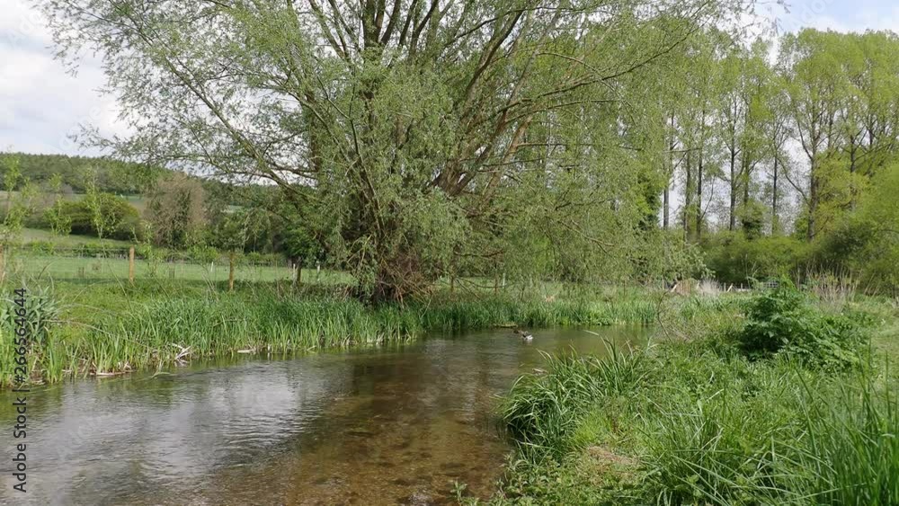 The River Chess at Chorleywood, Hertfordshire, UK The River Chess at Chorleywood, Hertfordshire, UK