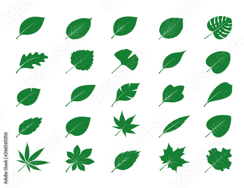 Collection of Green Leaves. Vector Illustration.