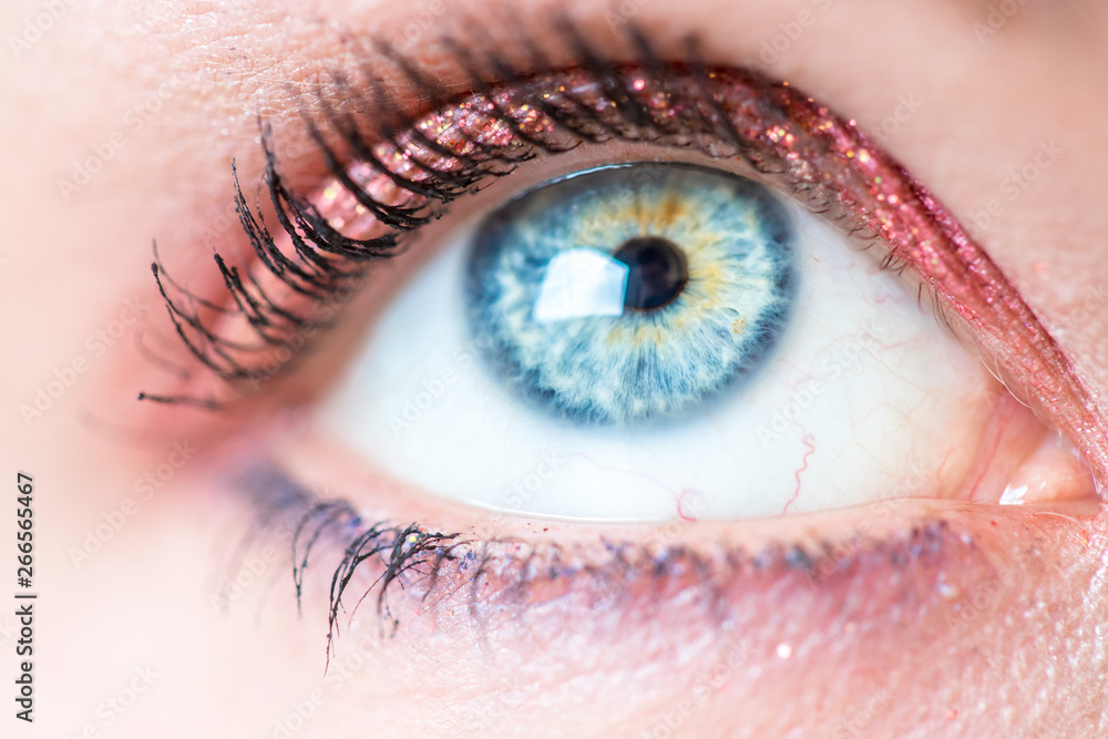 Female blue eye with beautiful make-up, close up Female blue eye with beautiful make-up, close up