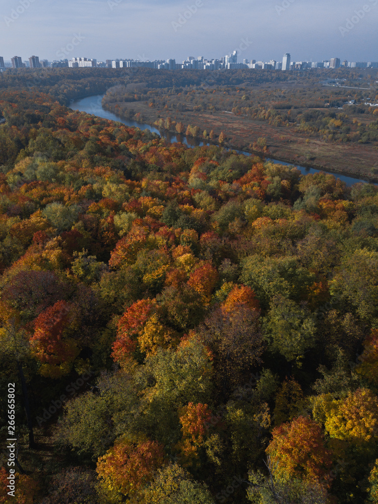 autumn in the park, aerial view of the red and yellow trees and the river in the background
