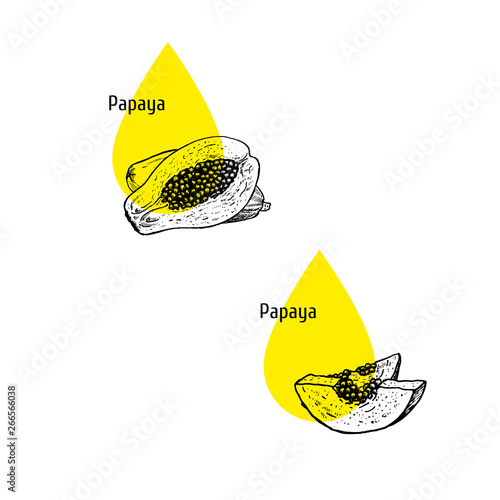 Papaya oil icons set. Hand drawn sketch. Extract of plant. Vector illustration
