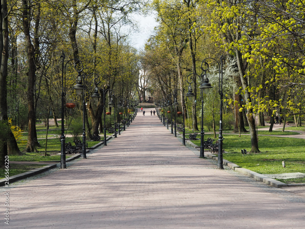 The central alley in the Kosciuszko park in Lviv