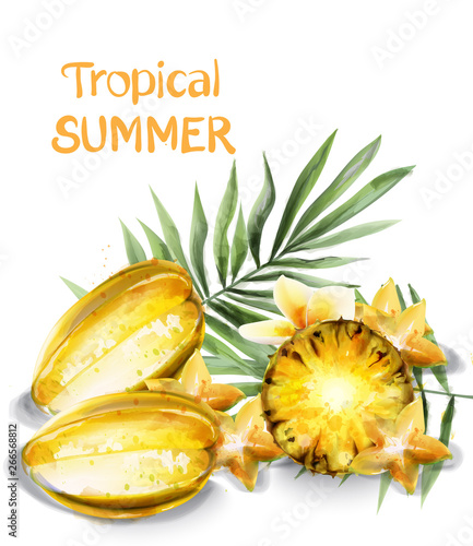 Carambola star fruit and pineapple slices Vector watercolor. Tropic juicy ban...