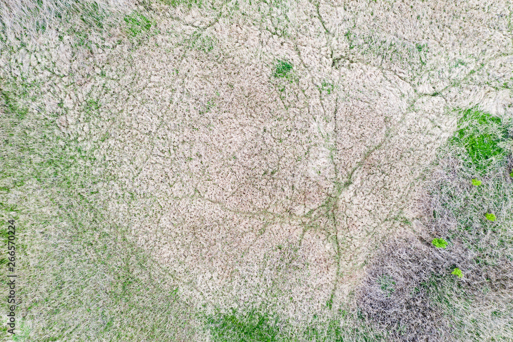 Naklejka premium Reeds wetland drone view.