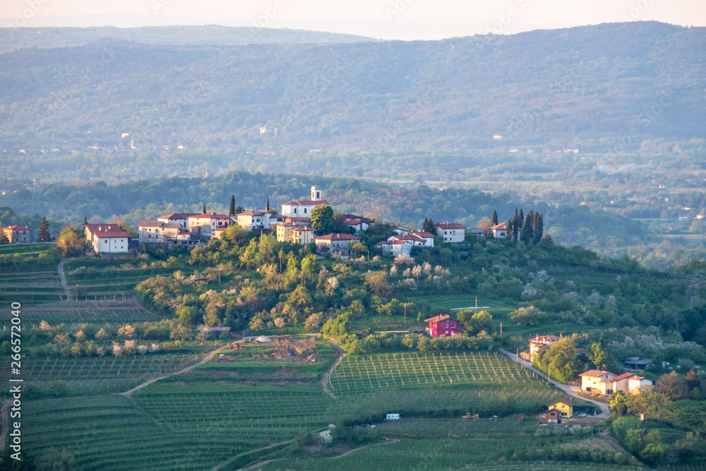 Village Gornje Cerovo in vine region Brda in Slovenia, Europe