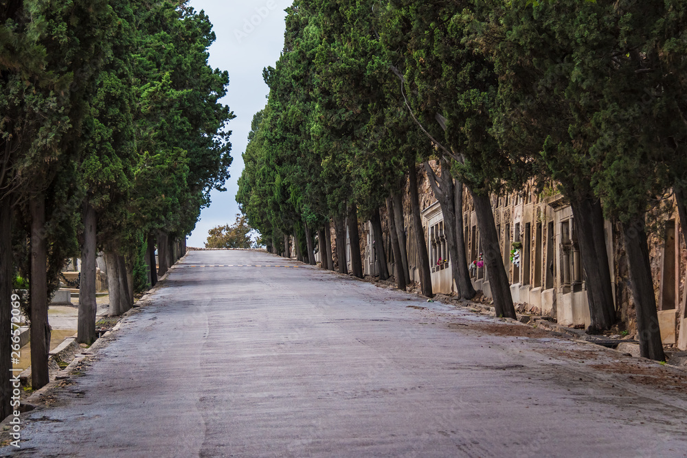 Perspective view of the road, graves and trees on the Montjuic Cemetery in overcast day, Barcelona, Catalonia, Spain