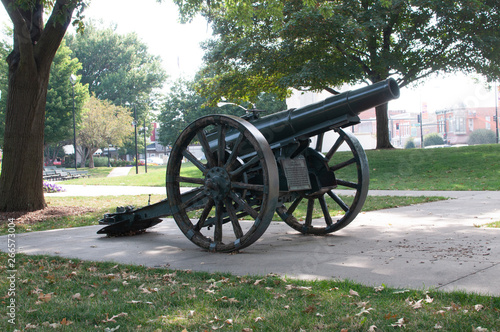 cannon in park