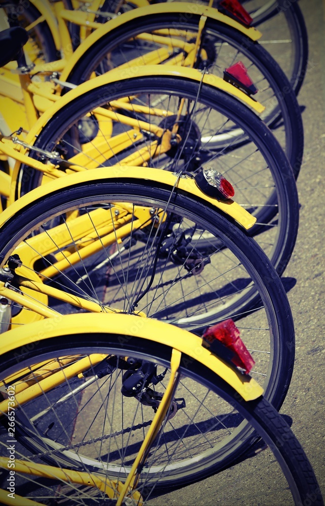 yellow bikes in the park