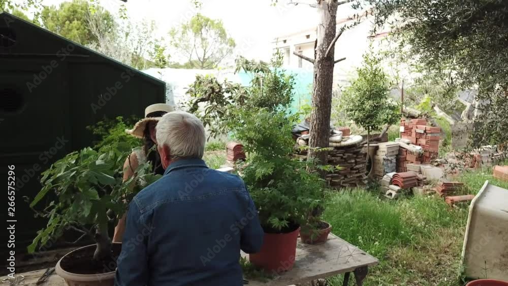 happy senior man and young woman taking care of bonsai plant in the garden