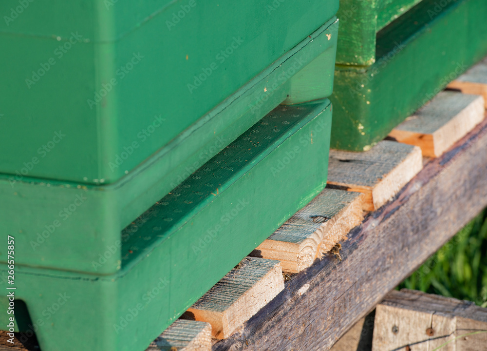 Bienenstockkasten - Magazinbeuten an einem Rapsfeld Bienenstockkasten - Magazinbeuten an einem Rapsfeld