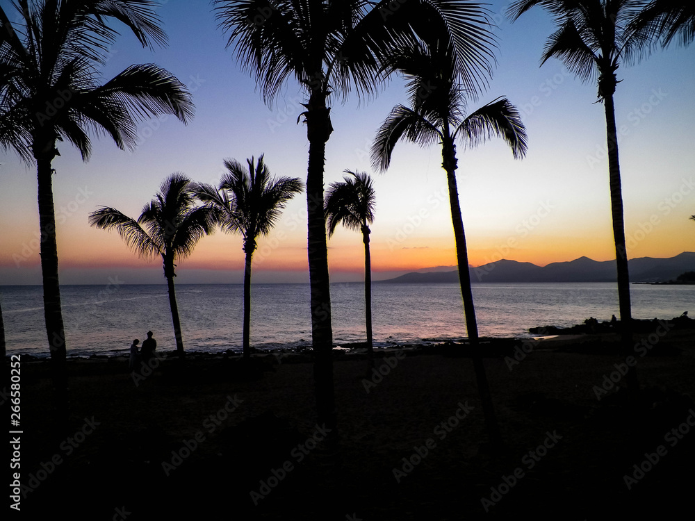 Palm trees an sunset in Puerto del Carmen, Lanzarote, Canary Islands.