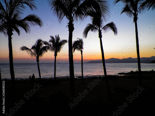 Palm trees an sunset in Puerto del Carmen  Lanzarote  Canary Islands.