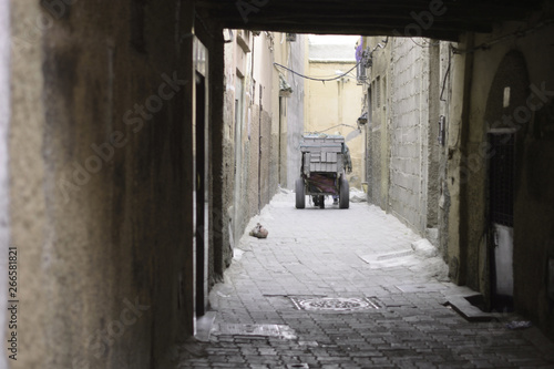 in the alleys of the old city