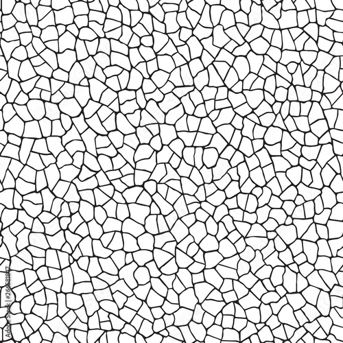  Seamless pattern.The cracks texture white and black. Vector background