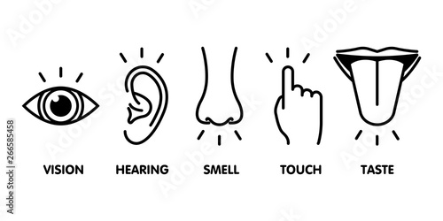 Icon set of five human senses: vision - eye , smell - nose , hearing - ear , touch - hand , taste - mouth with tongue . Simple line icons and color circles, vector illustration