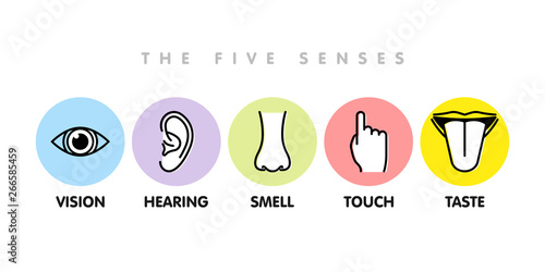 Icon set of five human senses: vision - eye , smell - nose , hearing - ear , touch - hand , taste - mouth with tongue . Simple line icons and color circles, vector illustration