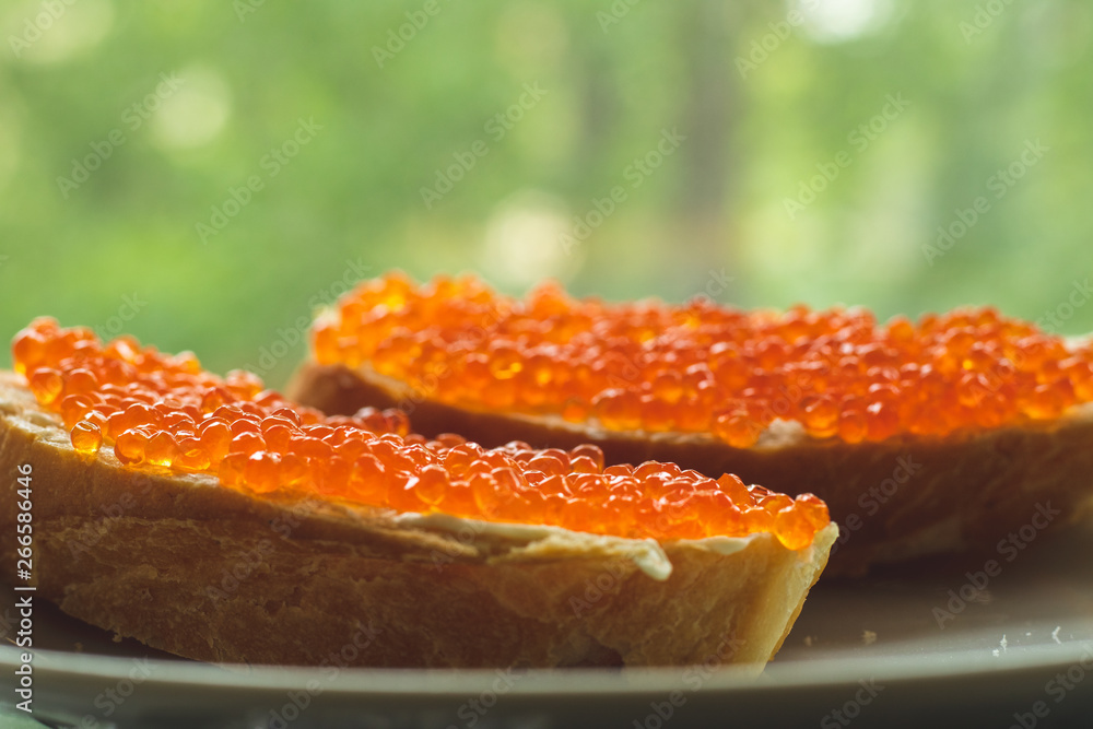 Macro photo of red caviar on a white and rye bread sandwich Macro photo of red caviar on a white and rye bread sandwich