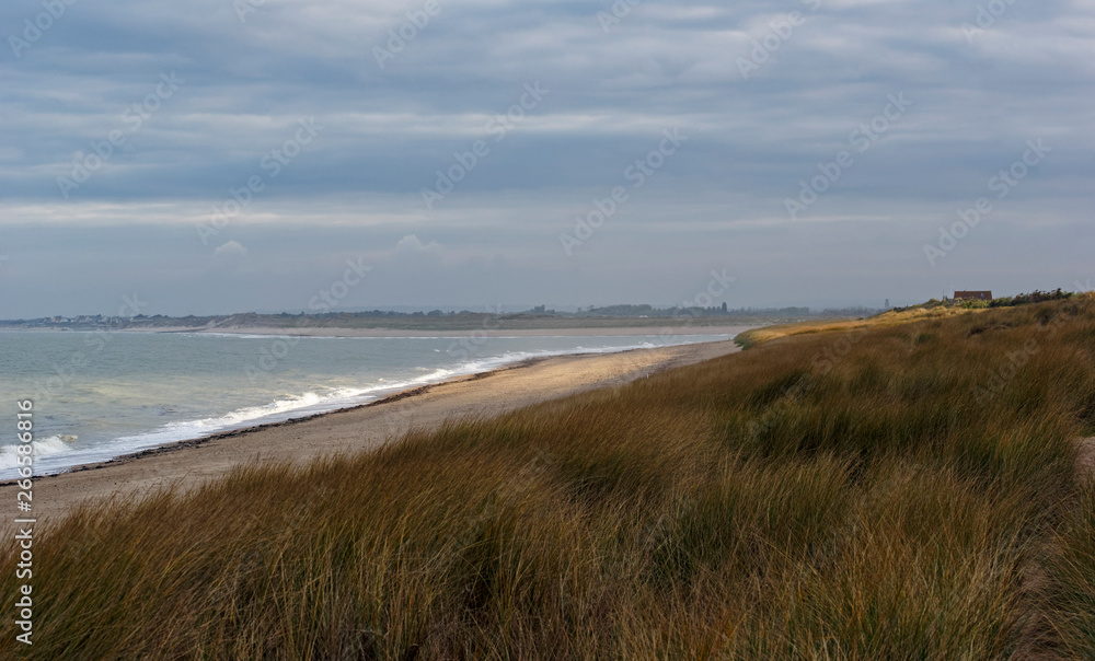Sand dunes of the Cotentin coast in Normandy