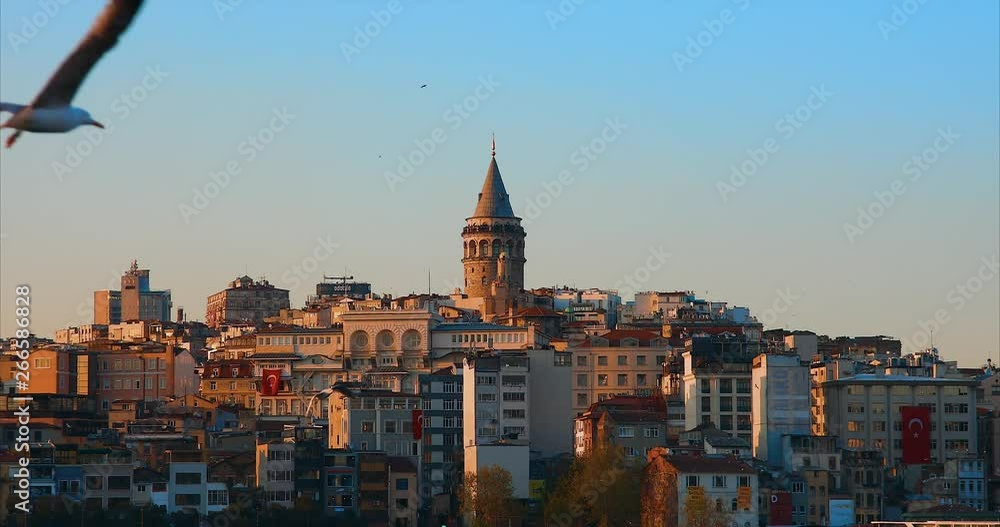 Galata Tower in istanbul City of Turkey. View of the Istanbul City of Turkey with bosphorus, seagulls and boats. Galata Tower in istanbul City of Turkey. View of the Istanbul City of Turkey with bosphorus, seagulls and boats.